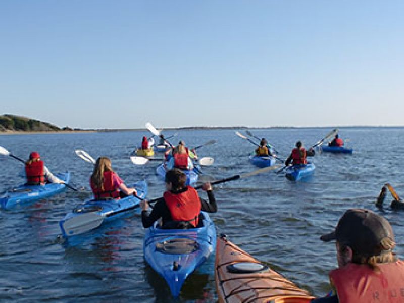 Ride the Wind Surf Shop